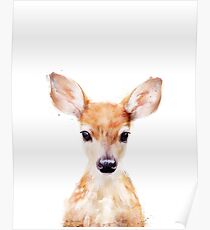 Little Deer Poster