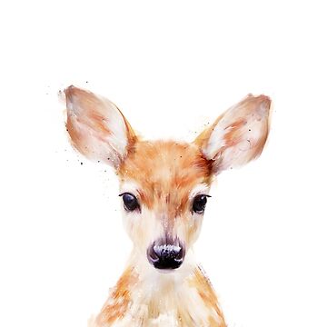 Artwork thumbnail, Little Deer by AmyHamilton