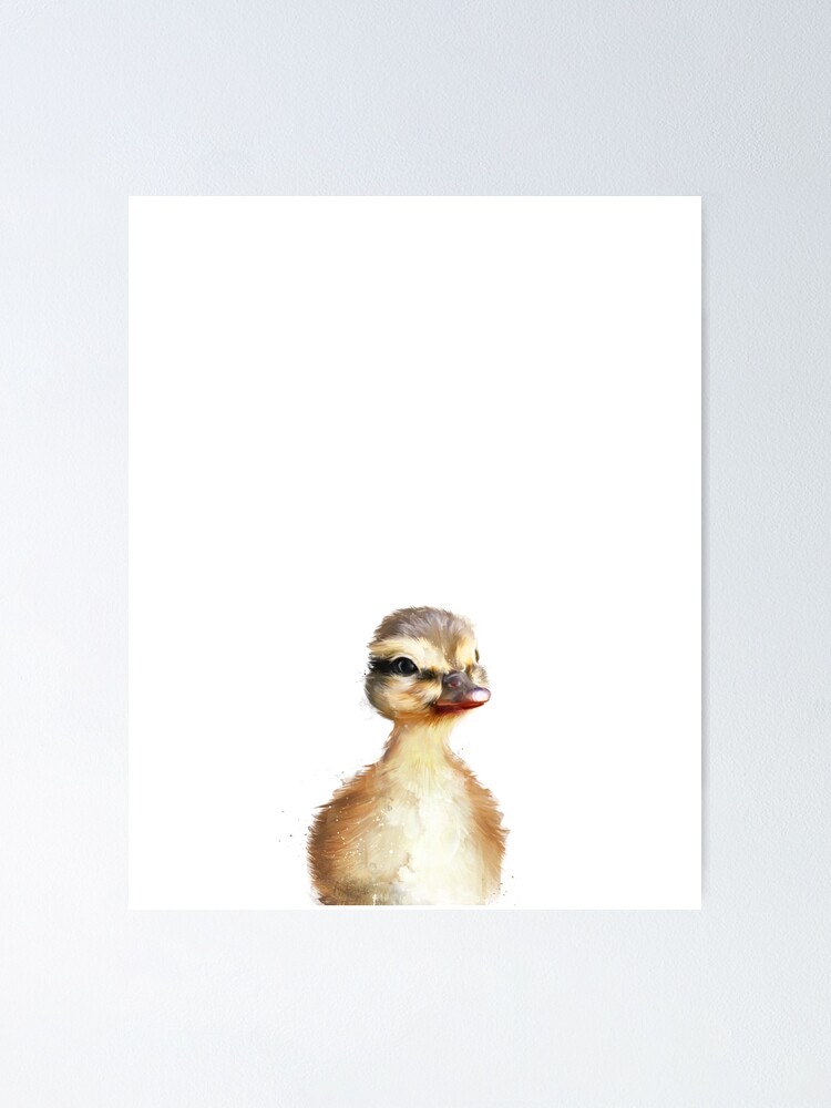 Alternate view of Little Duck Poster
