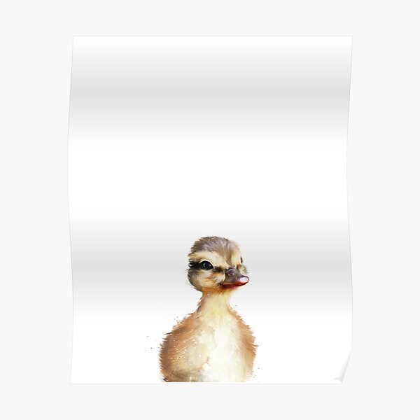 Little Duck Poster