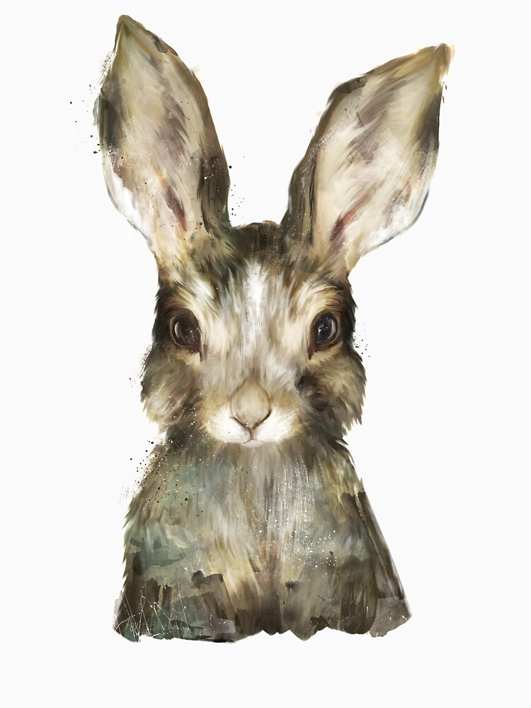 Little Rabbit by AmyHamilton