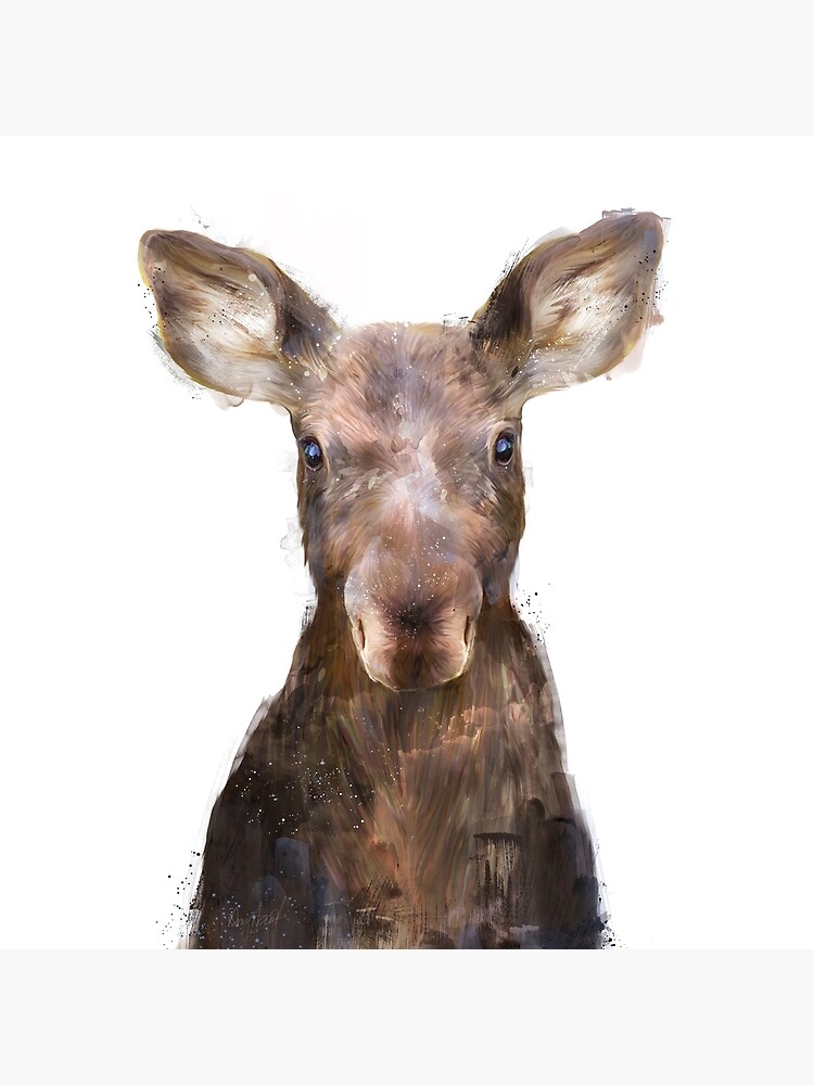 Little Moose by AmyHamilton
