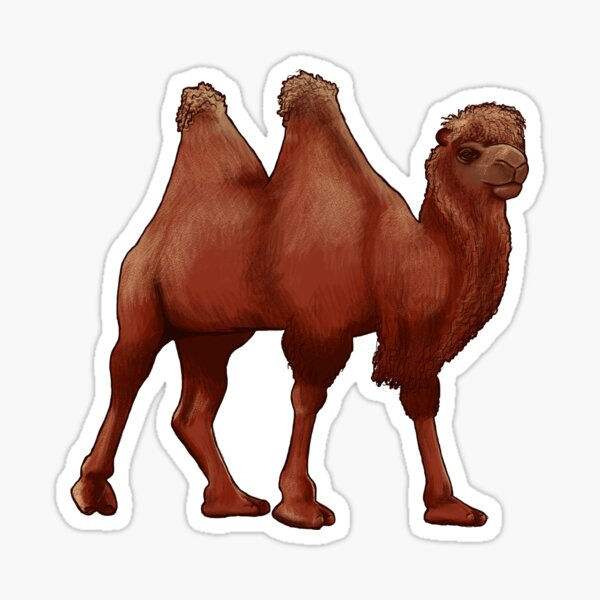 Bactrian Camel Sticker