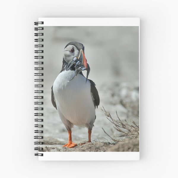 Item preview, Puffin with sand eels designed and sold by Karen Miller.