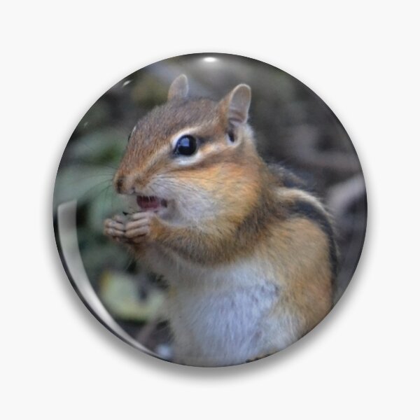 Item preview, Chipmunk Having a Snack designed and sold by ReneeKennedy.
