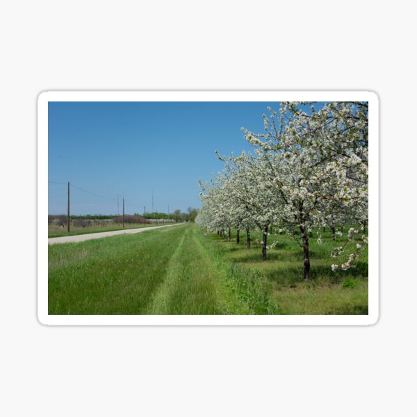 blossoms for miles Sticker