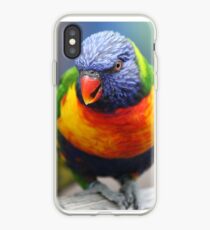 Regenbogen Lorikeet iPhone-Hülle & Cover