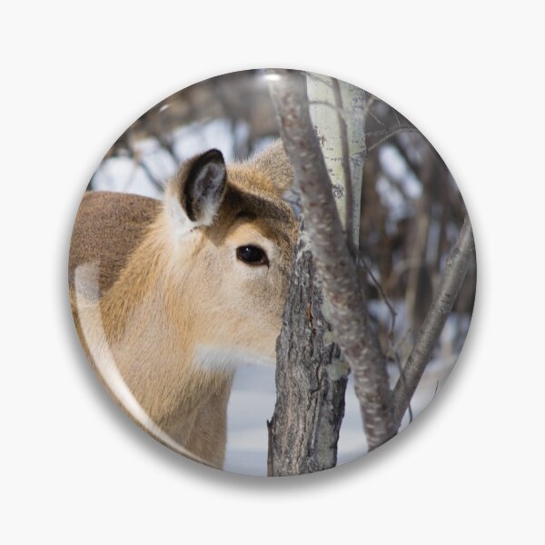 Item preview, White tailed deer designed and sold by CanadianWild418.
