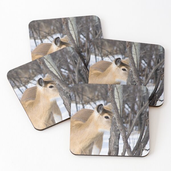 Item preview, White tailed deer designed and sold by CanadianWild418.