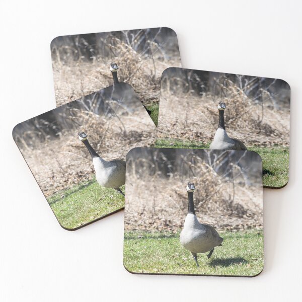 Item preview, Canada Geese designed and sold by CanadianWild418.