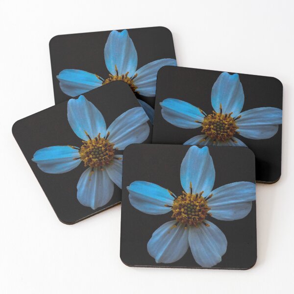 Item preview, Little Daisy designed and sold by Matthew Streacker.