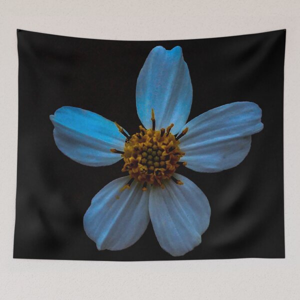 Item preview, Little Daisy designed and sold by Matthew Streacker.