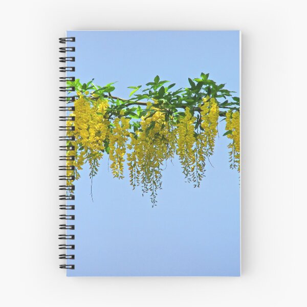 Item preview, Laburnum Branch designed and sold by pinkal.