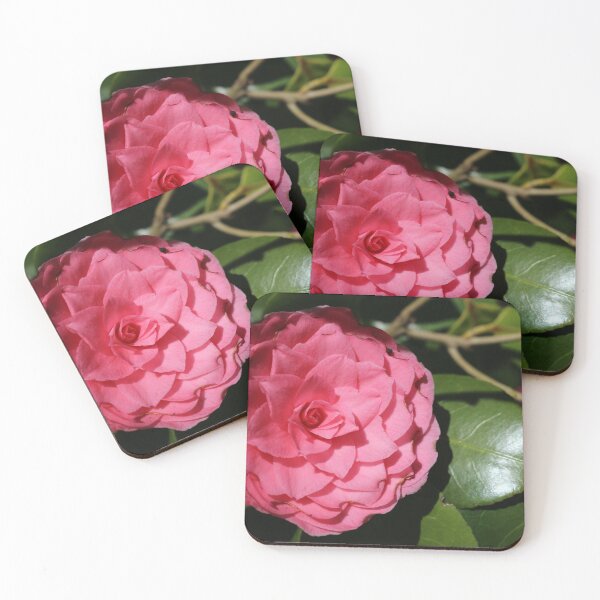 Item preview,  Camellia Japonica designed and sold by pinkal.