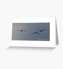 Heading to Roost Greeting Card