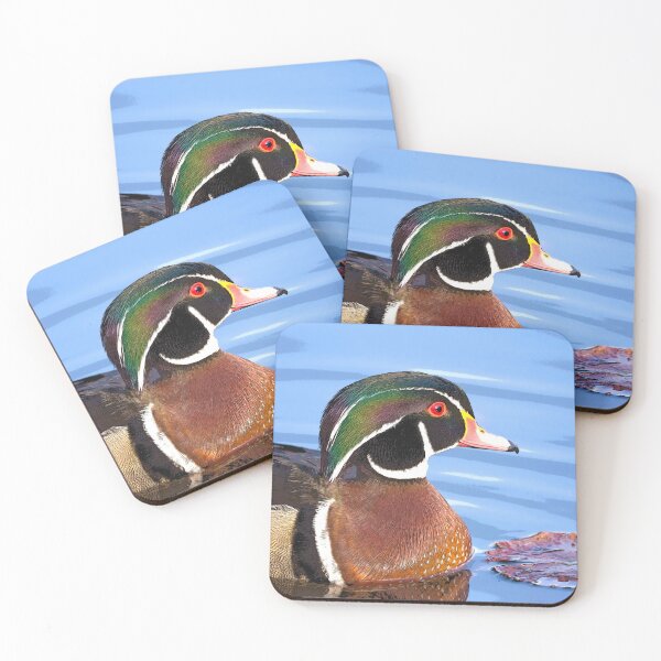 Item preview, Wood Duck in Evening Sun (Painterly effect) designed and sold by Patty Doublet Photography.