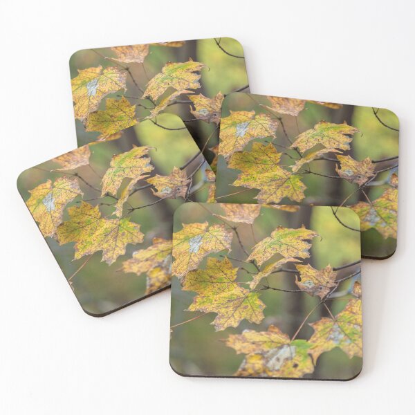 Item preview, Maple Leaves designed and sold by jvnimages.