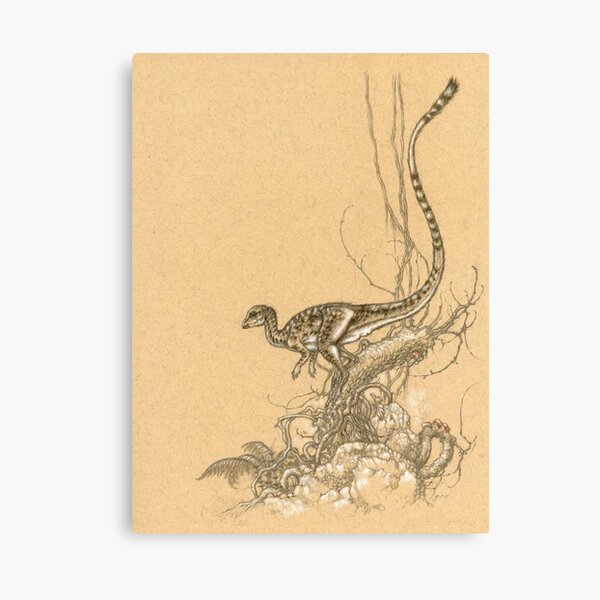 Leaellynasaura Canvas Print