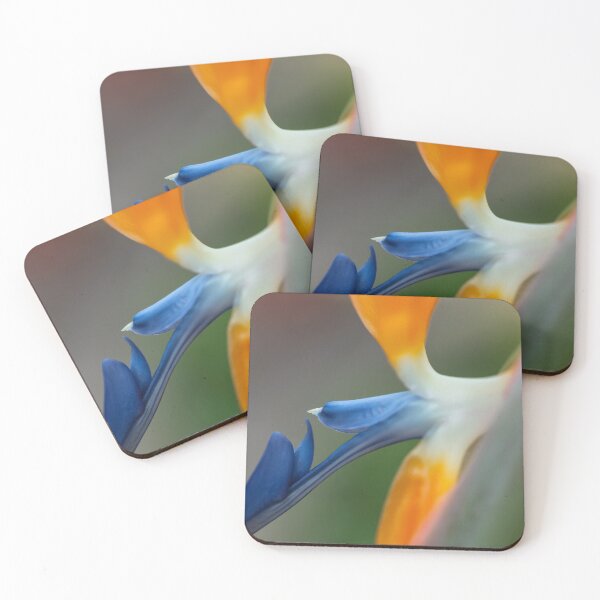 Item preview, Bird of Paradise designed and sold by jvnimages.