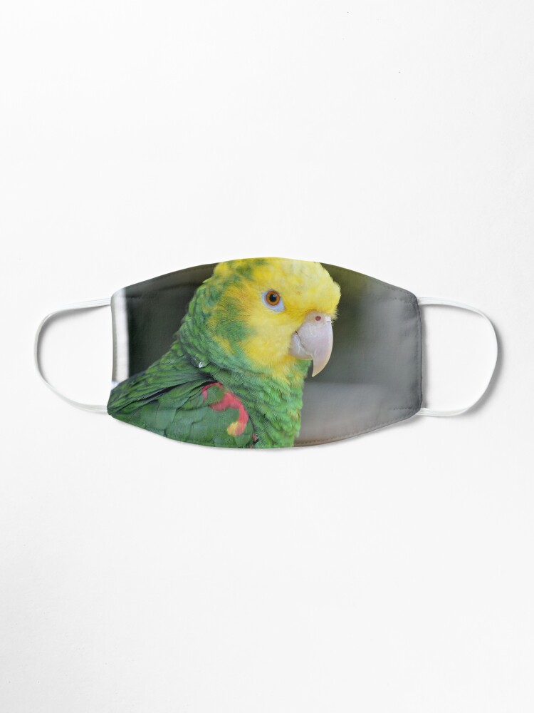 Download Double Yellow Headed Amazon Parrot Mask By Oreproductions Redbubble PSD Mockup Templates