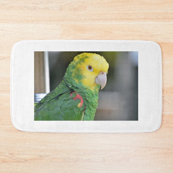 Item preview, Double Yellow Headed Amazon Parrot designed and sold by Jeff Ore.