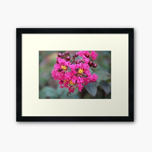 Item preview, Crepe Cluster designed and sold by Bob Hardy.