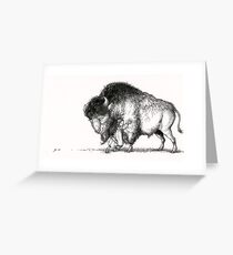The Hugs Bison Greeting Card