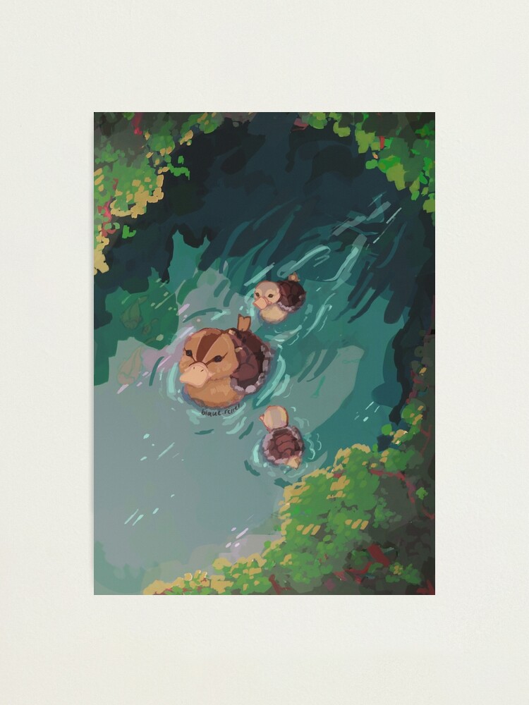 Alternate view of turtle duck pond avatar the last airbender Photographic Print