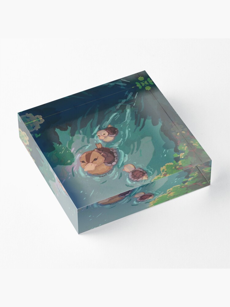 Alternate view of turtle duck pond avatar the last airbender Acrylic Block