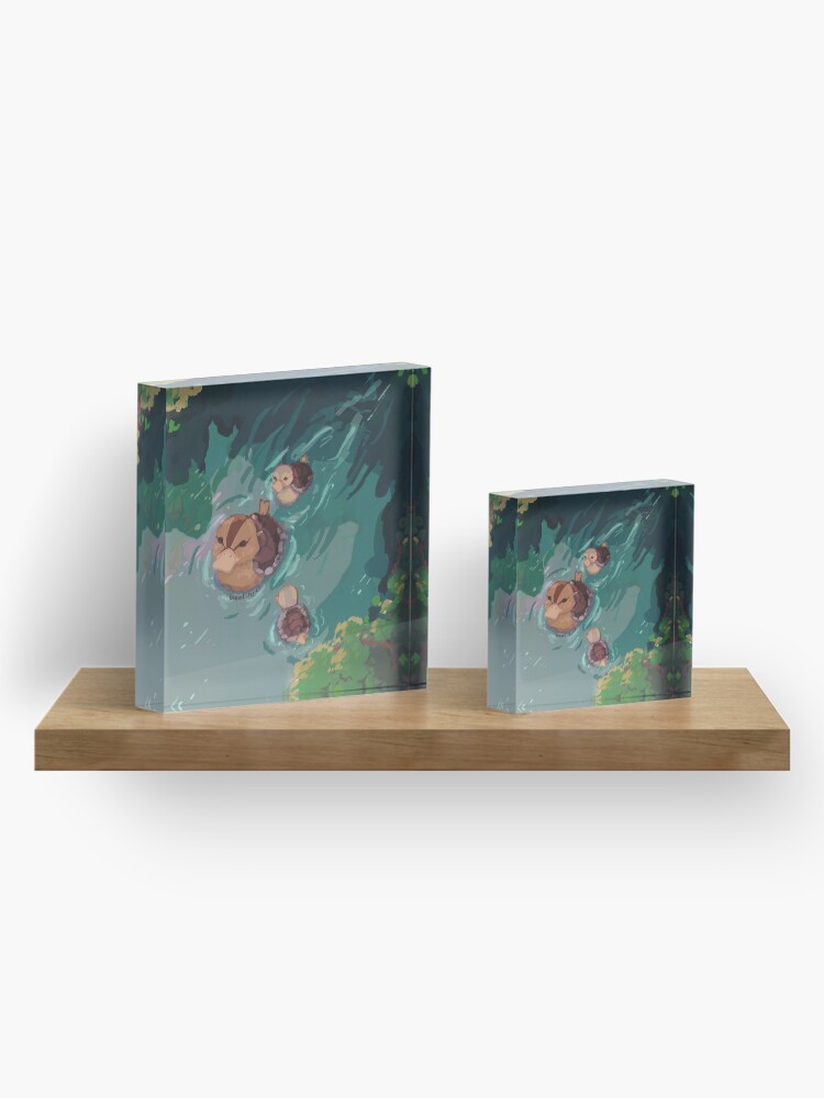 Alternate view of turtle duck pond avatar the last airbender Acrylic Block