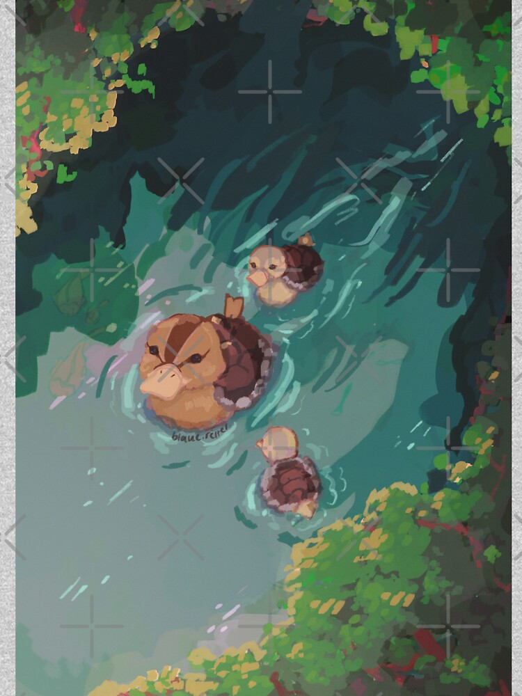 turtle duck pond avatar the last airbender by kingwise