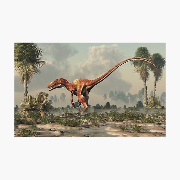 Deinonychus Wall Art, Canvas Prints, Framed Prints, Wall Peels