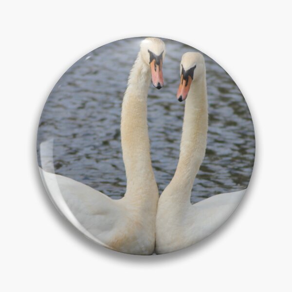 Item preview, Oh Hey There! (Swan Love 2) designed and sold by dredfell.