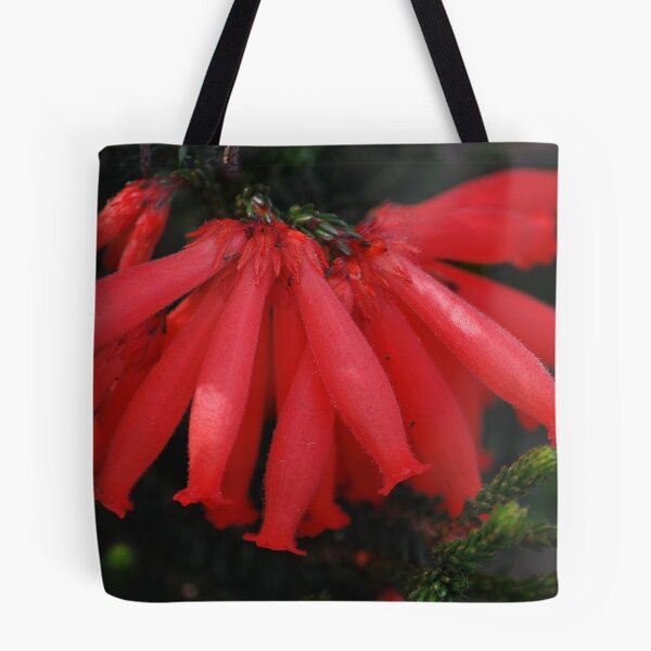 Item preview, ID me please, am I a common heath native? designed and sold by Lozzar Flowers & Art.