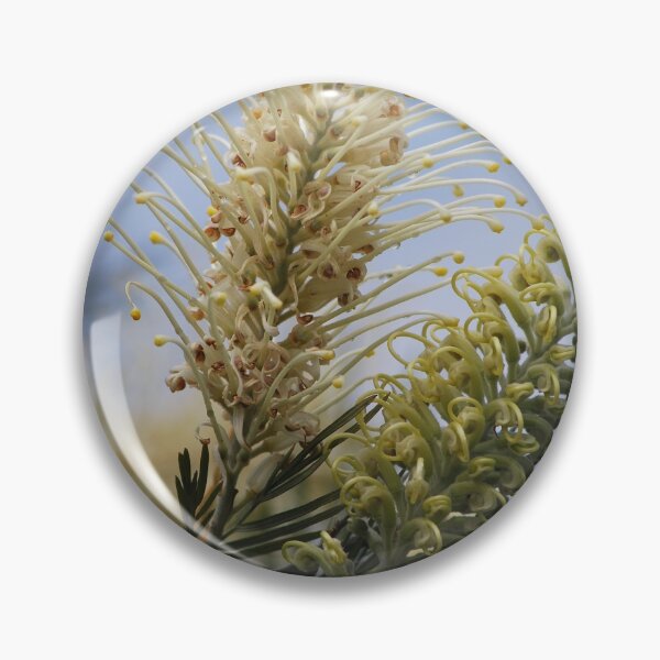 Item preview, A couple of Grevillea designed and sold by Lozzar Flowers & Art.