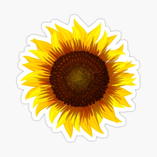 Sunflower Sticker,Yellow Stickers Laptop, Stickers Aesthetic, Cute Flower Water Bottle Waterproof Sticker