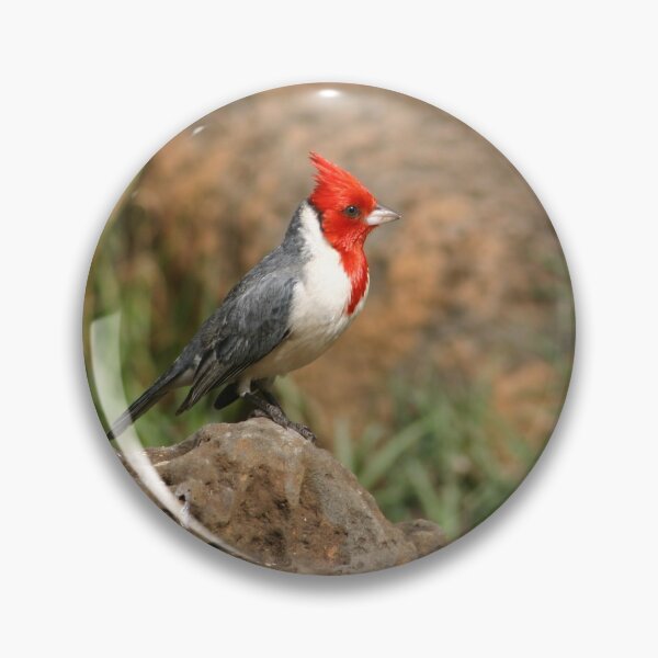 Item preview, Red Crested Cardinal designed and sold by Carol Bock.