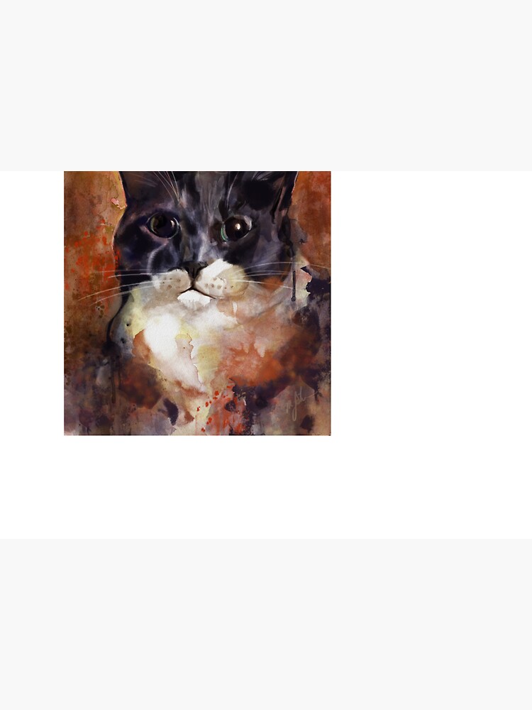 Baby the Grey and White Cat by ienjoycatsss