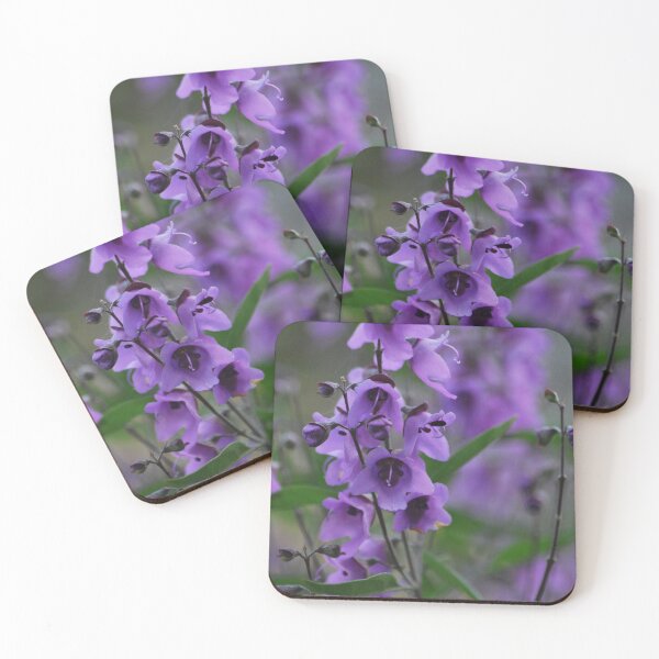 Item preview, Delicate mauve wildflower by Lorraine McCarthy designed and sold by Lozzar Flowers & Art.