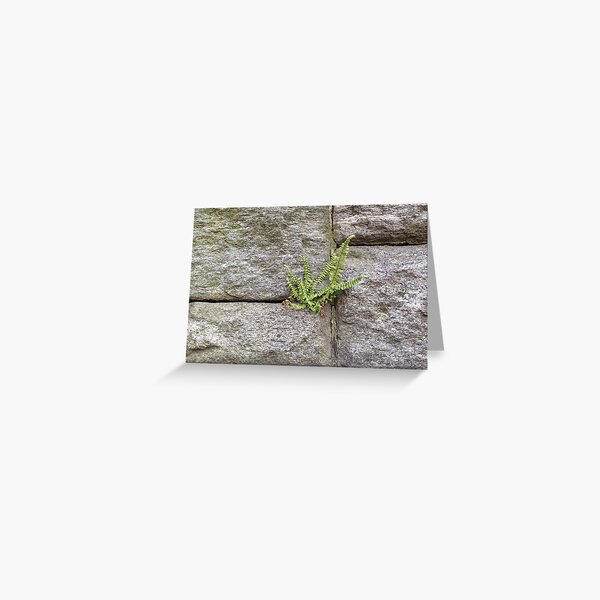 Churchyard Wall Greeting Card