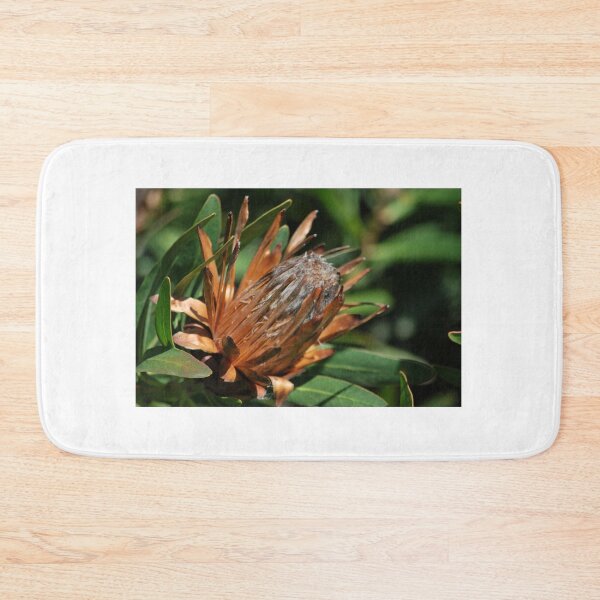 Item preview, Aged Potential designed and sold by Lozzar Flowers & Art.