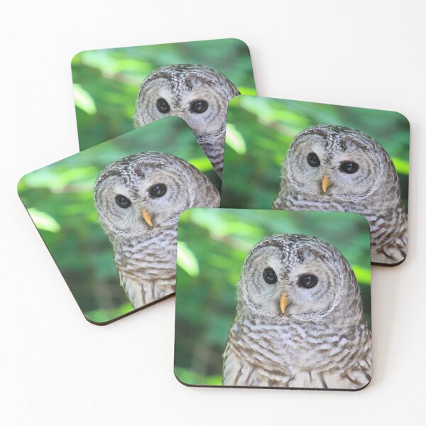 Item preview, Barred Owl designed and sold by Carol Bock.