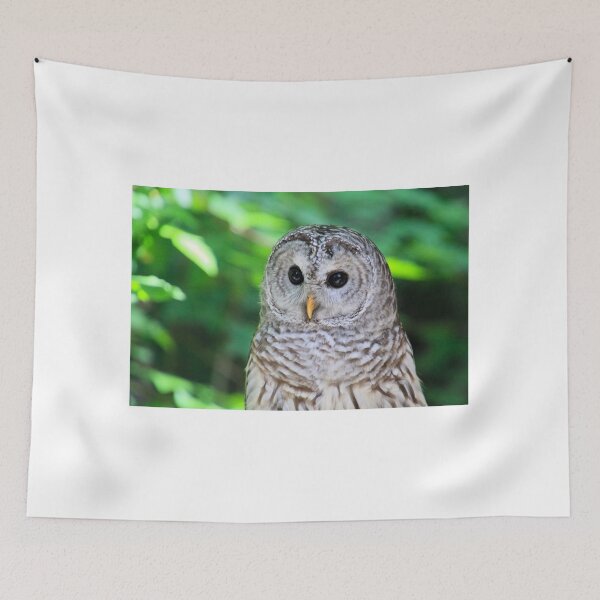 Item preview, Barred Owl designed and sold by Carol Bock.