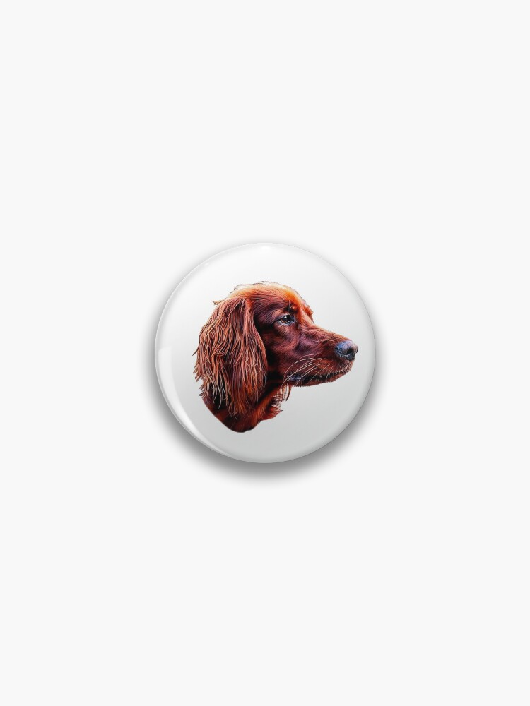 small irish setter
