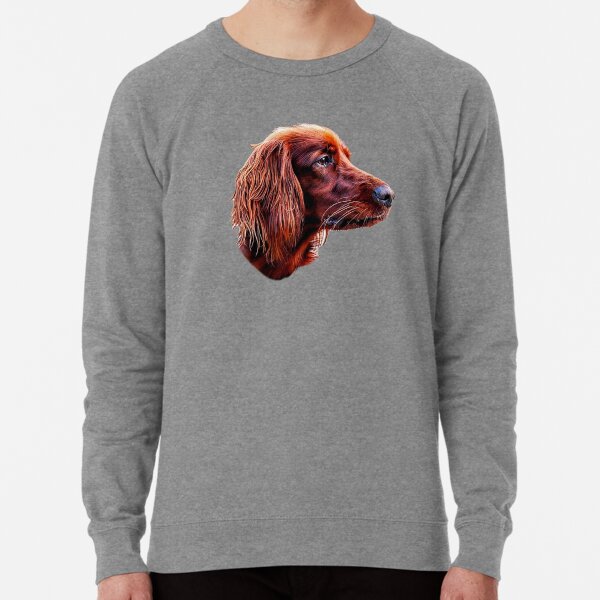 grey irish setter
