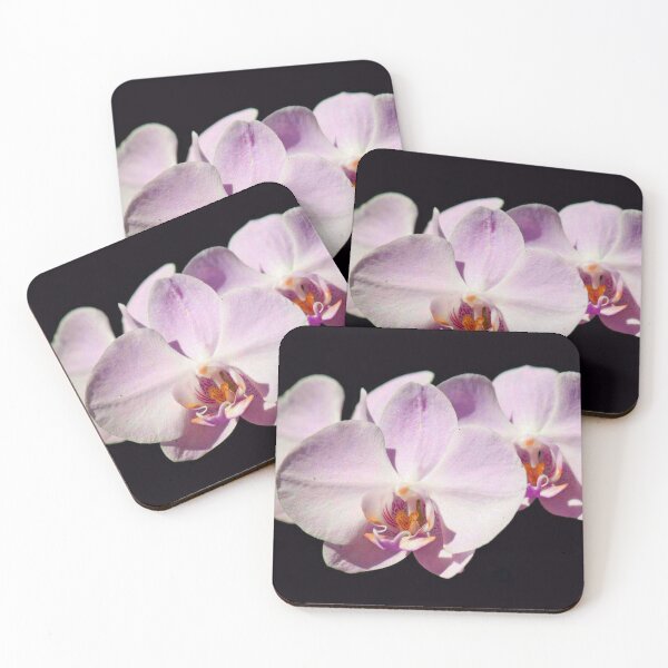 Item preview, Orchids designed and sold by Jacquelie.