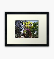 Architecture HDR Framed Print