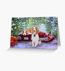 First snow at the tree farm with the welshies Greeting Card