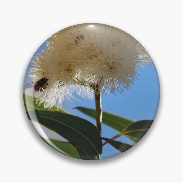Item preview,  Branching out by Lorraine McCarthy designed and sold by Lozzar Flowers & Art.