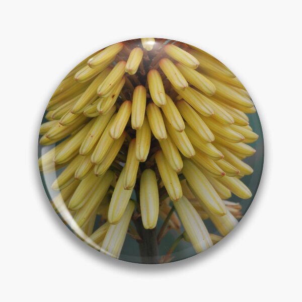 Item preview, Yellow...red hot polka designed and sold by Lozzar Flowers & Art.